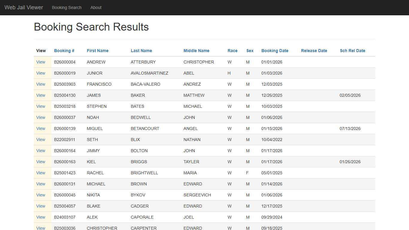BookingSearchDetail - Web Jail Viewer